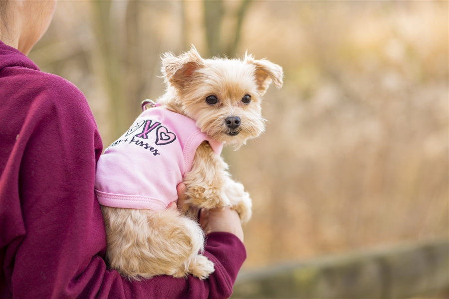 Parisian Pet 'XOXO' Soft Cotton Slogan Dog T-Shirt – Trendy and Comfortable Outfit for Small Dogs & Cats, Pink-Valentine's Day