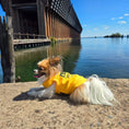 Load image into Gallery viewer, Parisian Pet 'Licker' Novelty Dog Apparel – Fun Embroidered Pet Wear for Dogs & Cats, Yellow
