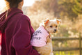 Load image into Gallery viewer, Parisian Pet 'Little Miss Attitude' Pet Shirt - Cute Dog & Cat Shirt, Pink
