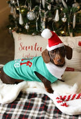 Load image into Gallery viewer, Parisian Pet Embroidered 'Elf Size Shirt' - Holiday Pet Apparel & Christmas Dog Clothes, Green
