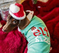 Load image into Gallery viewer, Parisian Pet Embroidered 'Elf Size Shirt' - Holiday Pet Apparel & Christmas Dog Clothes, Green
