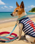 Load image into Gallery viewer, Parisian Pet 'Lobster Chasing Tail' Dog Shirt – Nautical Cotton Pet T-Shirt for Dogs & Cats, Blue & White Stripes
