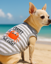 Parisian Pet 'Crabby But Cute Tee' Embroidered Dog Shirt - Trendy Pet Apparel for Dogs & Cats, Gray and White Stripes