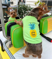 Parisian Pet 'Pineapple' Dog Shirt – Tropical Cotton Pet T-Shirt for Dogs & Cats-Saint Patrick's Day