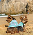 Load image into Gallery viewer, Parisian Pet 'Flamingos'  Dog Shirt – Lightweight & Breathable Summer Outfit for Small Dogs & Cats, Light Blue and White Stripes
