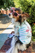 Load image into Gallery viewer, Parisian Pet 'Flamingos'  Dog Shirt – Lightweight & Breathable Summer Outfit for Small Dogs & Cats, Light Blue and White Stripes
