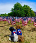 Load image into Gallery viewer, Parisian Pet 'Love USA' Patriotic Dog Shirt – Embroidered Pet Apparel for Dogs & Cats, Navy Blue-Valentine's Day
