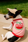 Load image into Gallery viewer, Parisian Pet 'One in a Melon' Dog Shirt – Fun Summer Pet T-Shirt for Dogs & Cats, Pink
