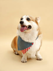 Park Day Denim Gingham Print Handmade Bandana 