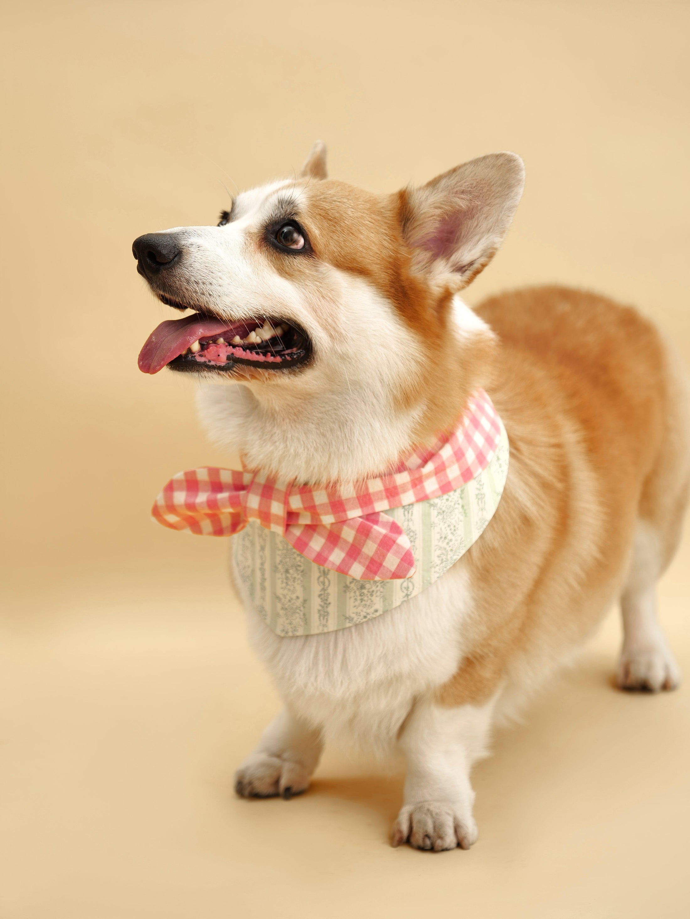 Picnic Bliss Floral Gingham Print Bandana 