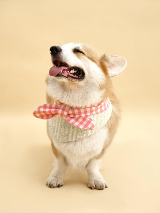 Picnic Bliss Floral Gingham Print Bandana 