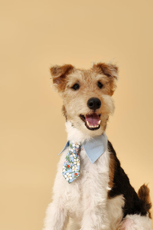 Blue Botanique Necktie Bandana 