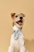 Load image into Gallery viewer, Blue Botanique Necktie Bandana 
