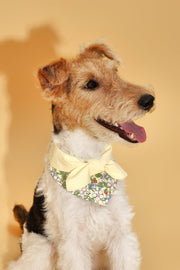 Bowtiful Garden Butter Yellow Floral Bandana 
