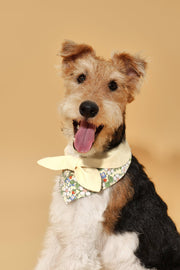 Bowtiful Garden Butter Yellow Floral Bandana 