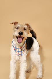 Blue Gingham Cherry Bandana 