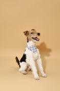 Load image into Gallery viewer, Blue Gingham Cherry Bandana 
