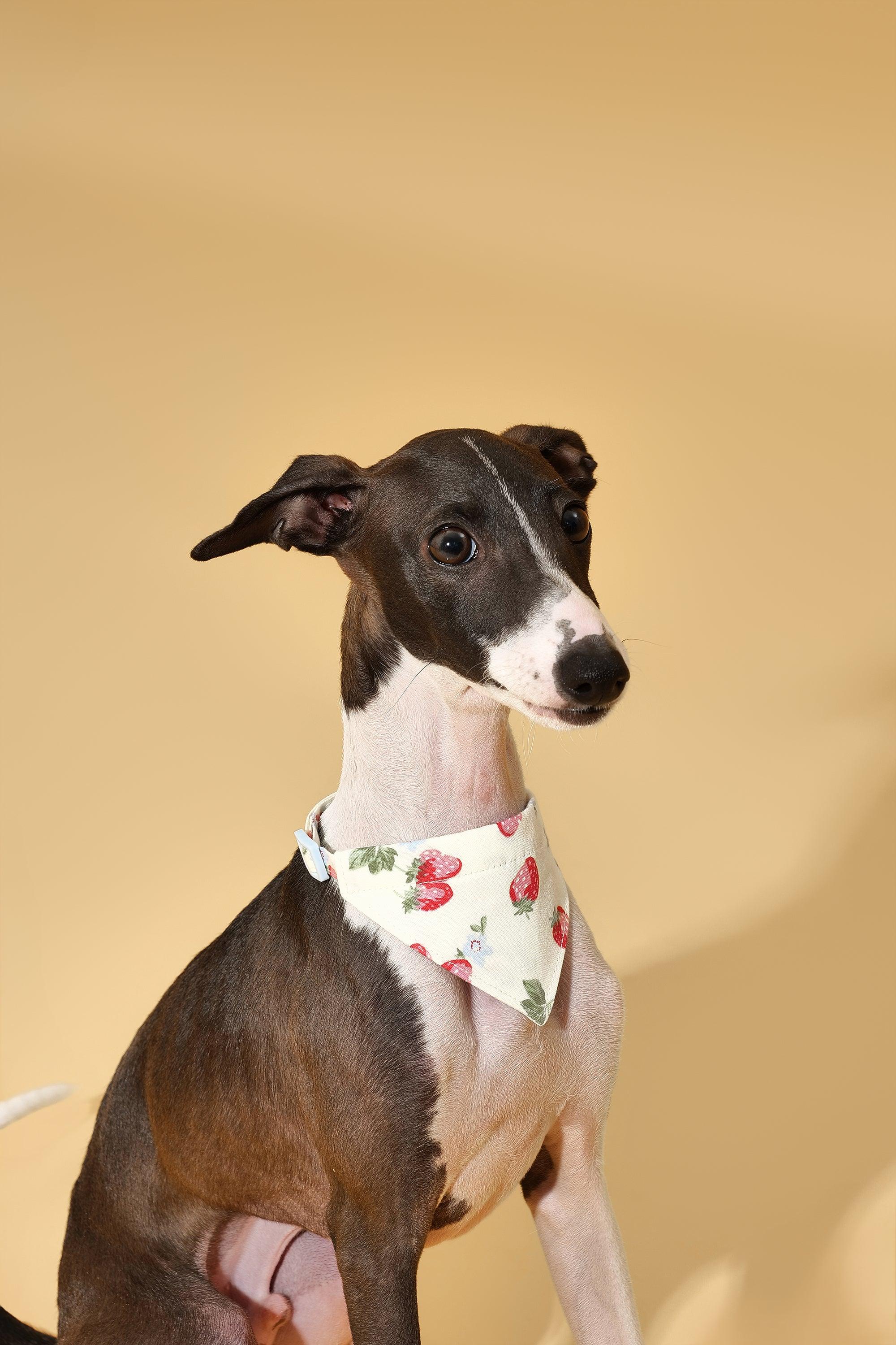 Strawberry Fields Butter Yellow Triangle Bandana 
