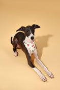 Load image into Gallery viewer, Strawberry Fields Butter Yellow Triangle Bandana 
