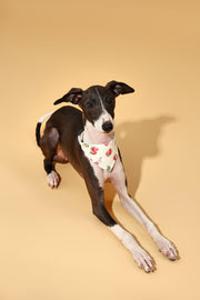 Strawberry Fields Butter Yellow Triangle Bandana 