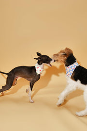 Blue Gingham Cherry Bandana 