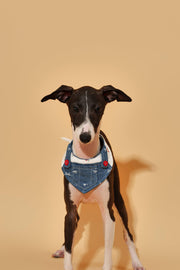 Reversible Denim Cherry Overalls Pet Bandana 