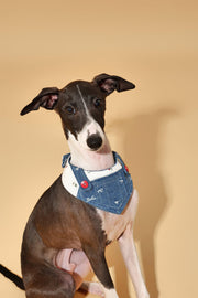 Reversible Denim Cherry Overalls Pet Bandana 