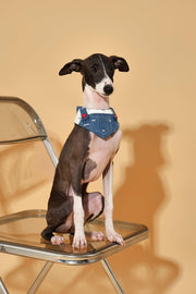 Reversible Denim Cherry Overalls Pet Bandana 