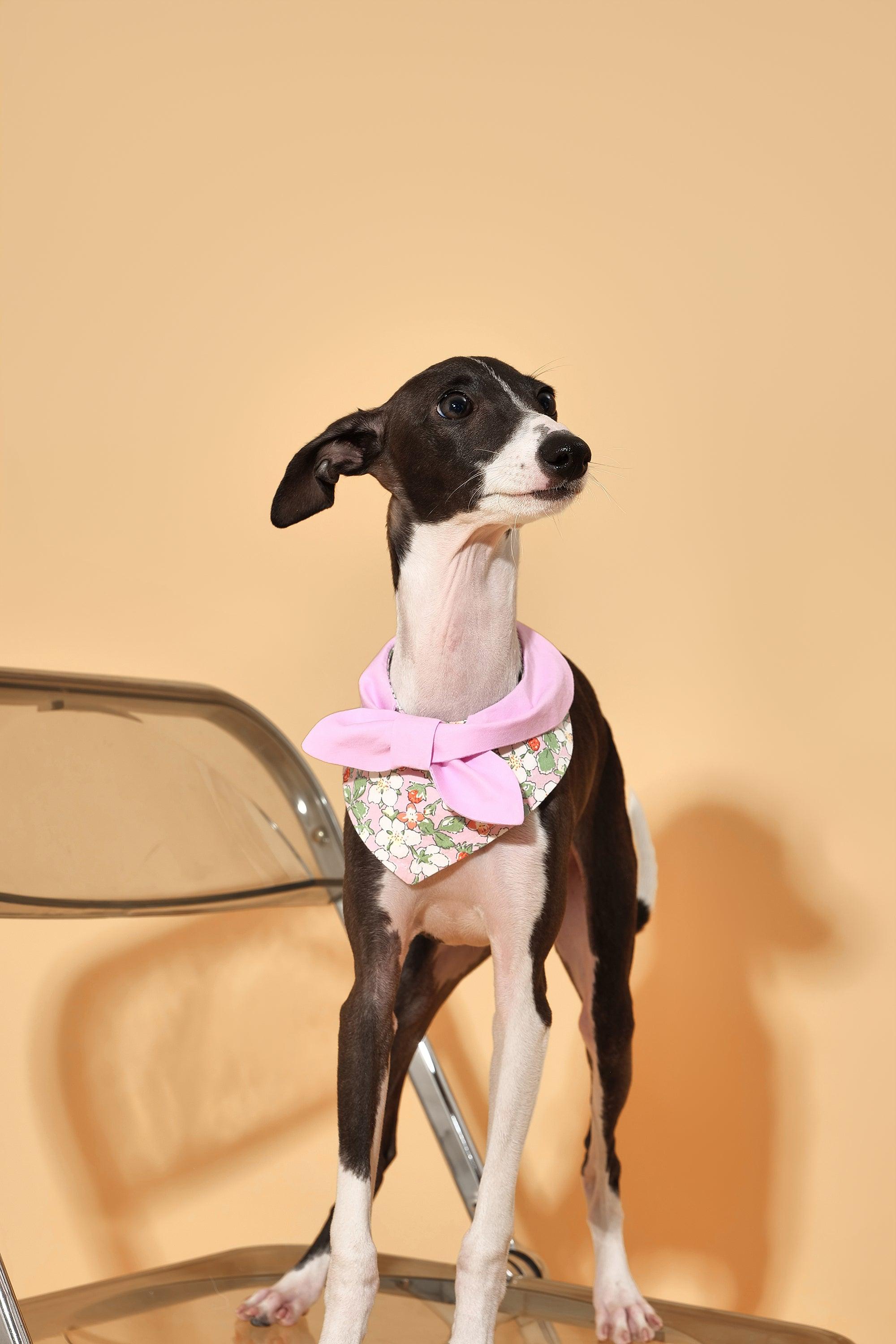 Bowtiful Garden Pink Floral Bandana 