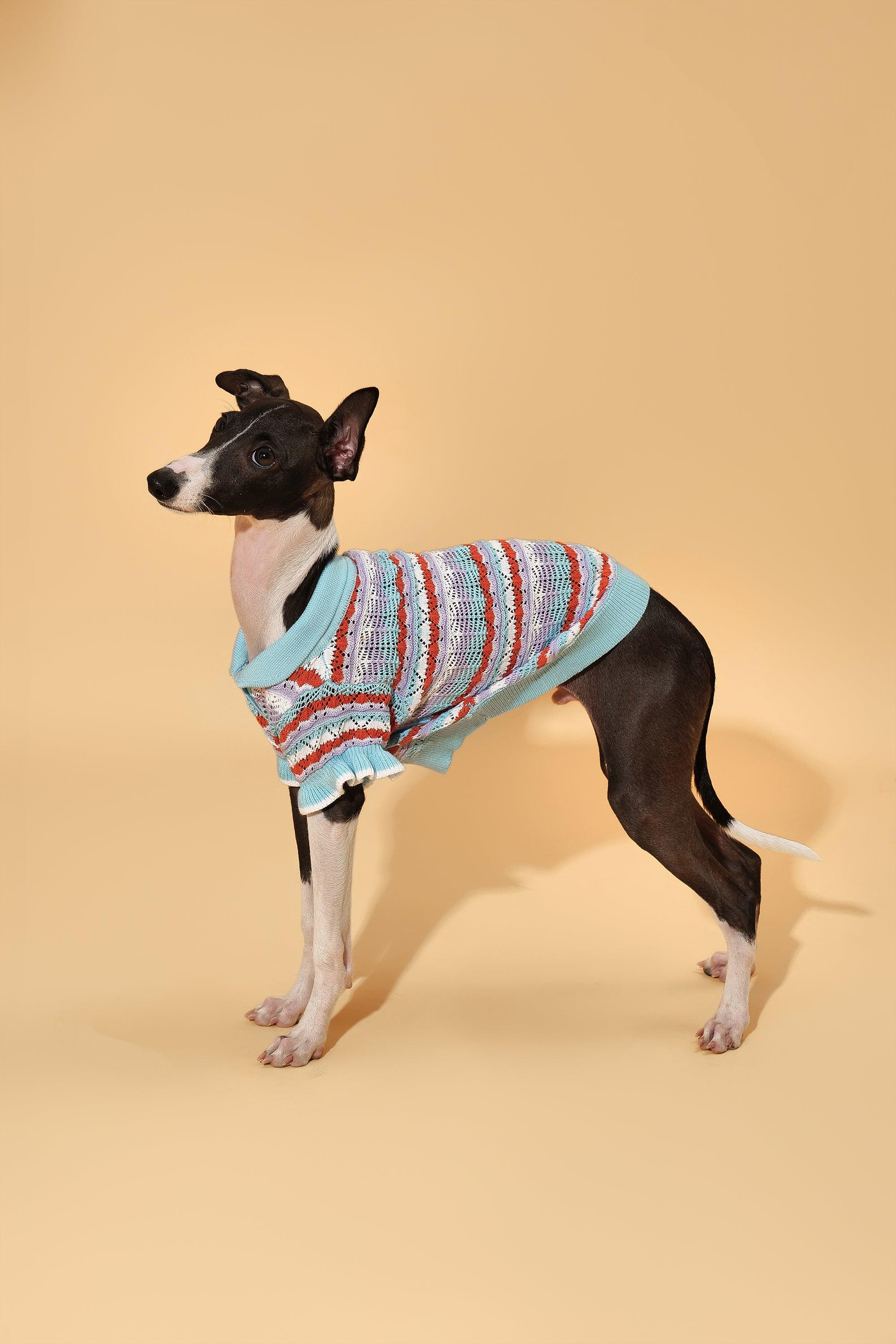 Pet & Me Spring Summer Ocean Blue Ruffle Crochet Short Sleeve Polo Shirt 