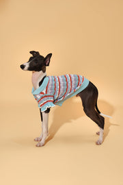 Pet & Me Spring Summer Ocean Blue Ruffle Crochet Short Sleeve Polo Shirt 