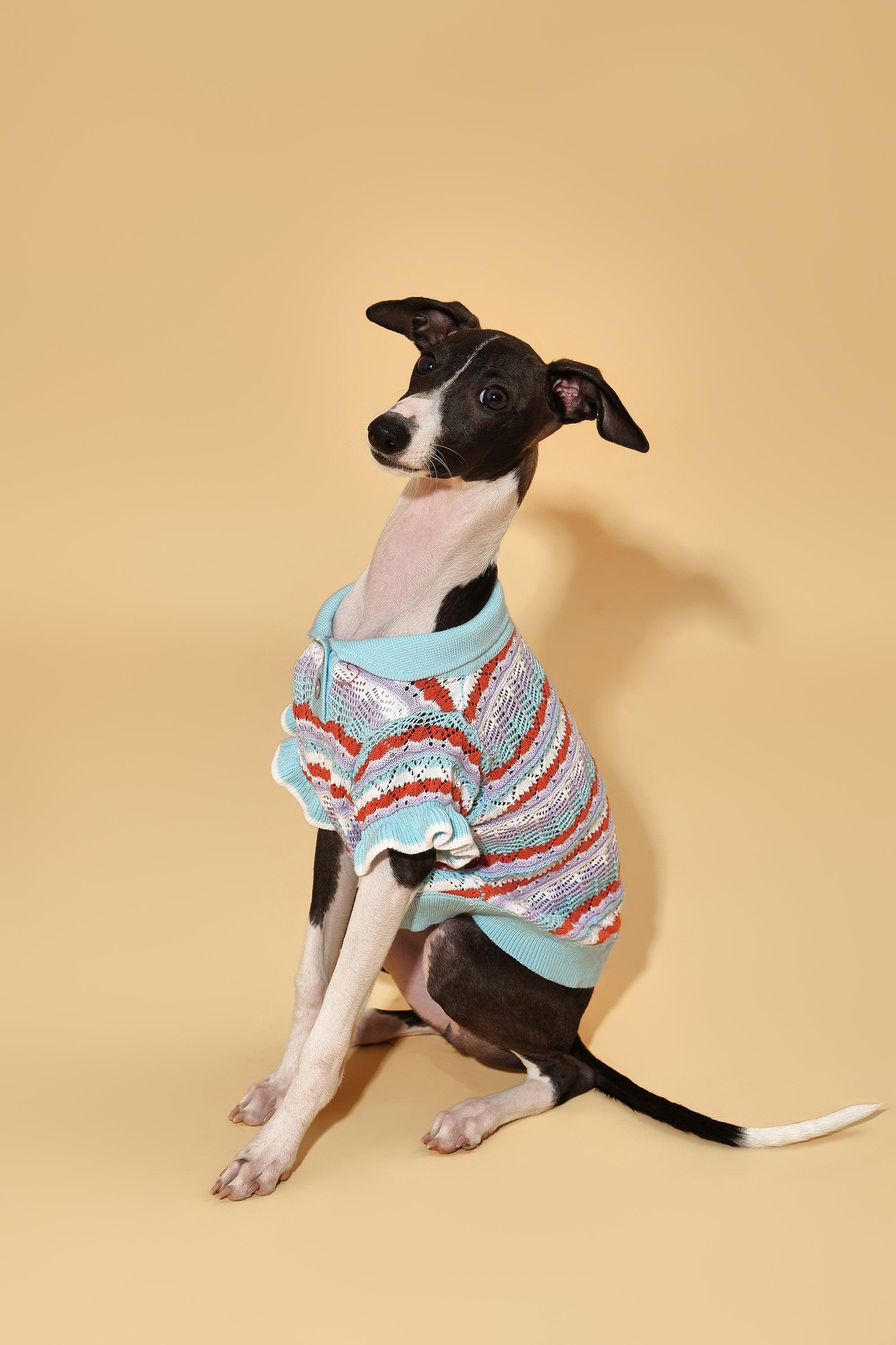 Pet & Me Spring Summer Ocean Blue Ruffle Crochet Short Sleeve Polo Shirt 
