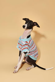 Pet & Me Spring Summer Ocean Blue Ruffle Crochet Short Sleeve Polo Shirt 