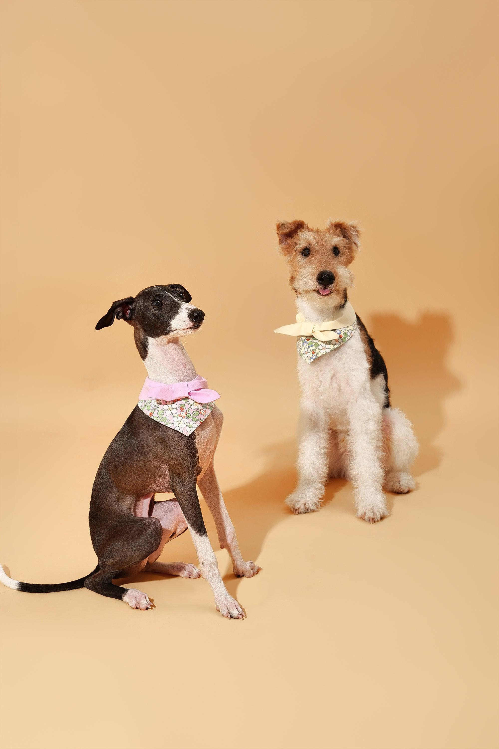 Bowtiful Garden Butter Yellow Floral Bandana 