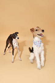 Strawberry Fields Butter Yellow Triangle Bandana 