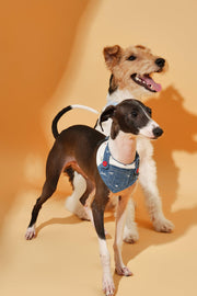 Reversible Denim Cherry Overalls Pet Bandana 