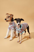 Load image into Gallery viewer, Pet & Me Spring Summer Ocean Blue Ruffle Crochet Short Sleeve Polo Shirt 
