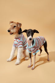 Pet & Me Spring Summer Ocean Blue Ruffle Crochet Short Sleeve Polo Shirt 