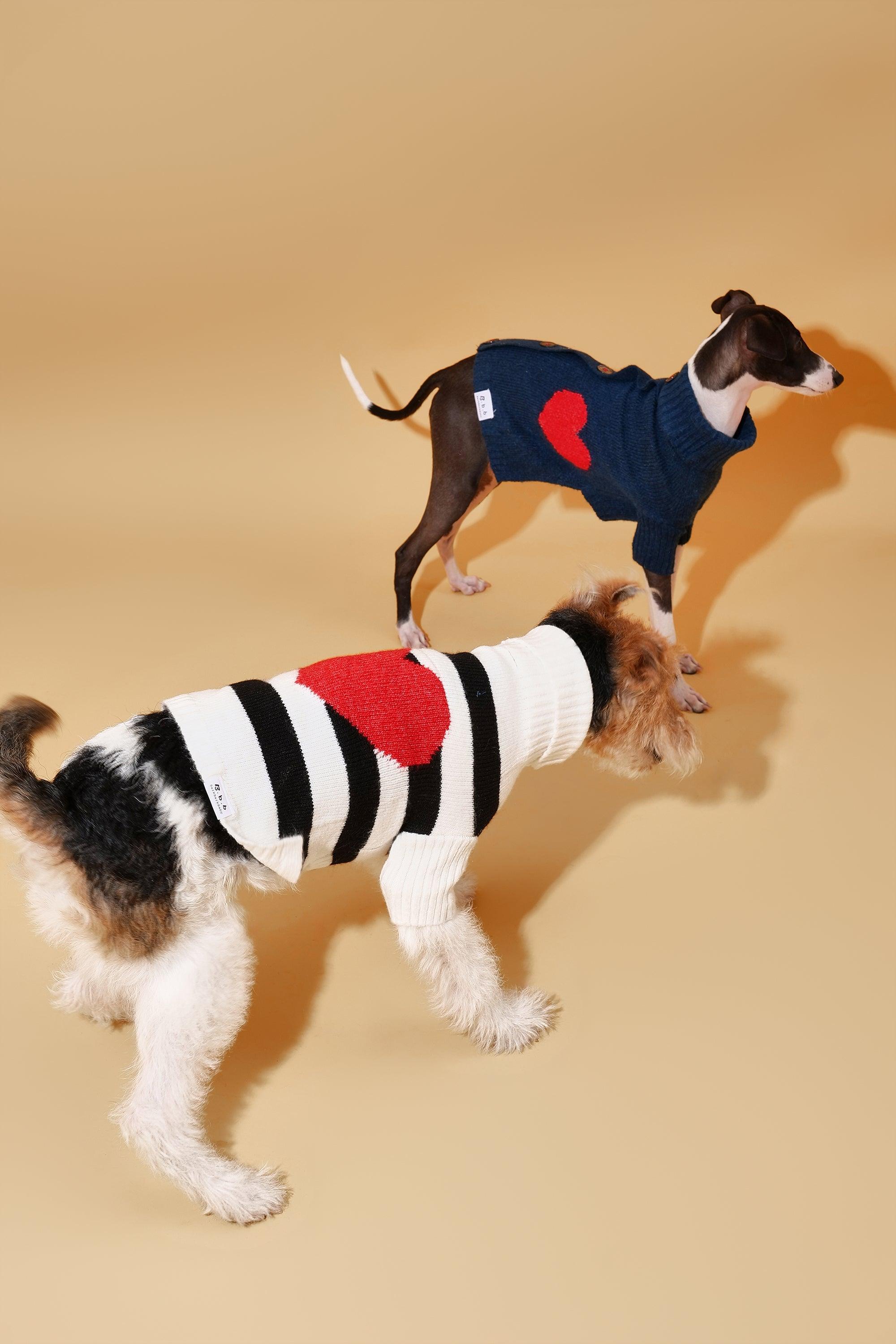 Sailor of My Heart Striped Turtleneck Sweater - Southlake Paws