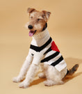 Load image into Gallery viewer, Sailor of My Heart Striped Turtleneck Sweater - Southlake Paws
