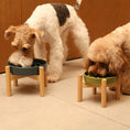 Load image into Gallery viewer, [Spark] Slow Feeder Dog Bowls - Red / Green / Blue
