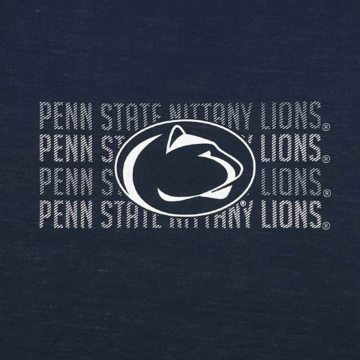 NCAA Pennsylvania State University Nittany Lions Striped Text Dog T-Shirt