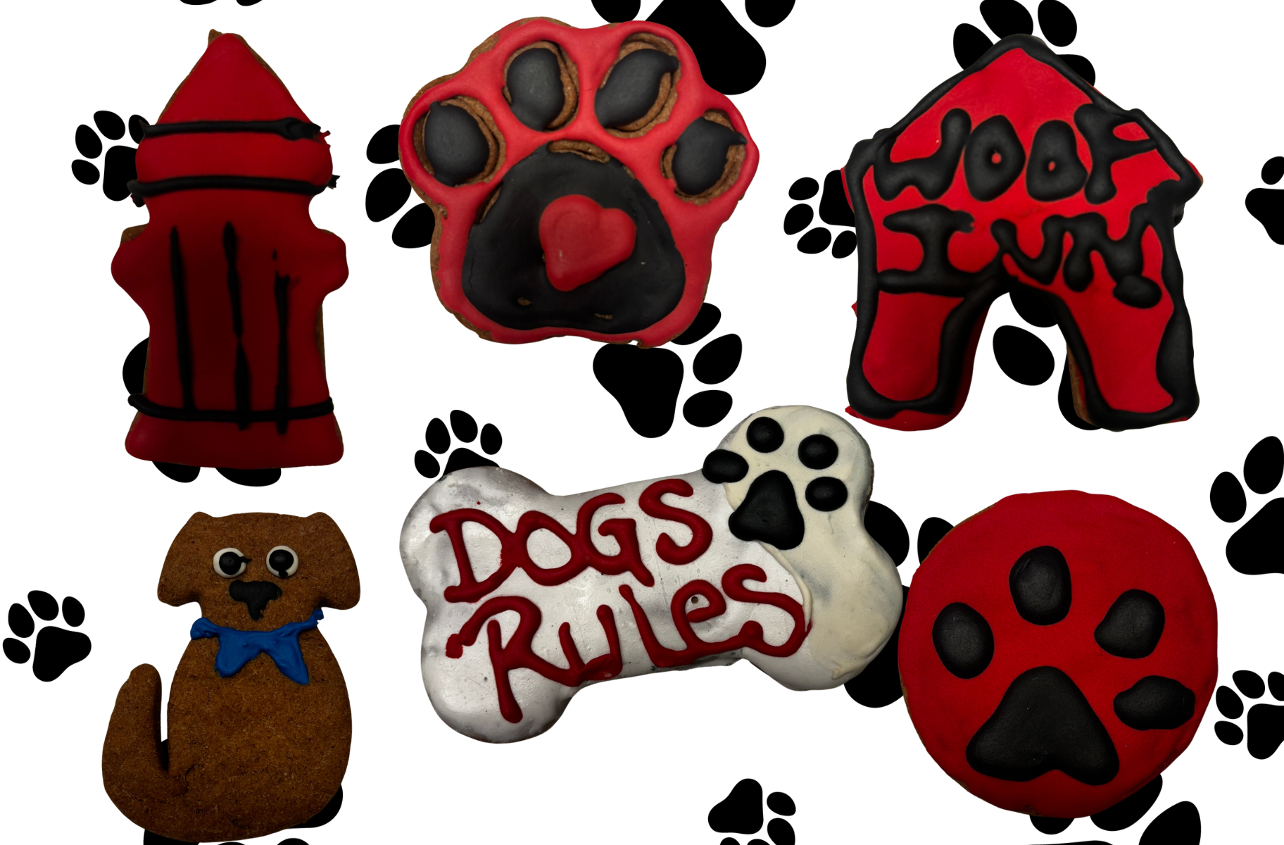 Dog Life Organic Dog Cookie Box Decorated Dog Treats