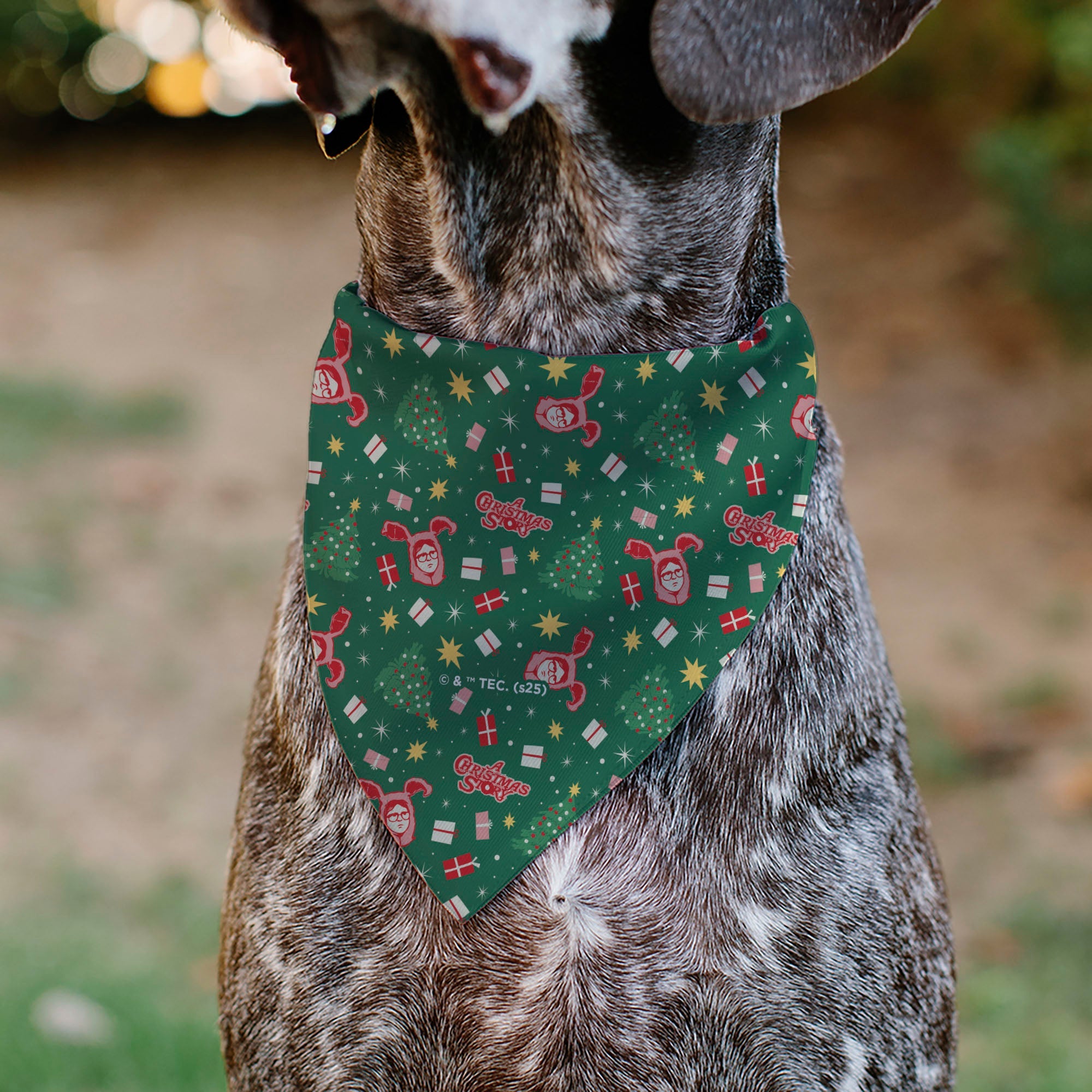 Pet Bandana - A CHRISTMAS STORY Icons and Title Logo Collage Greens/Reds