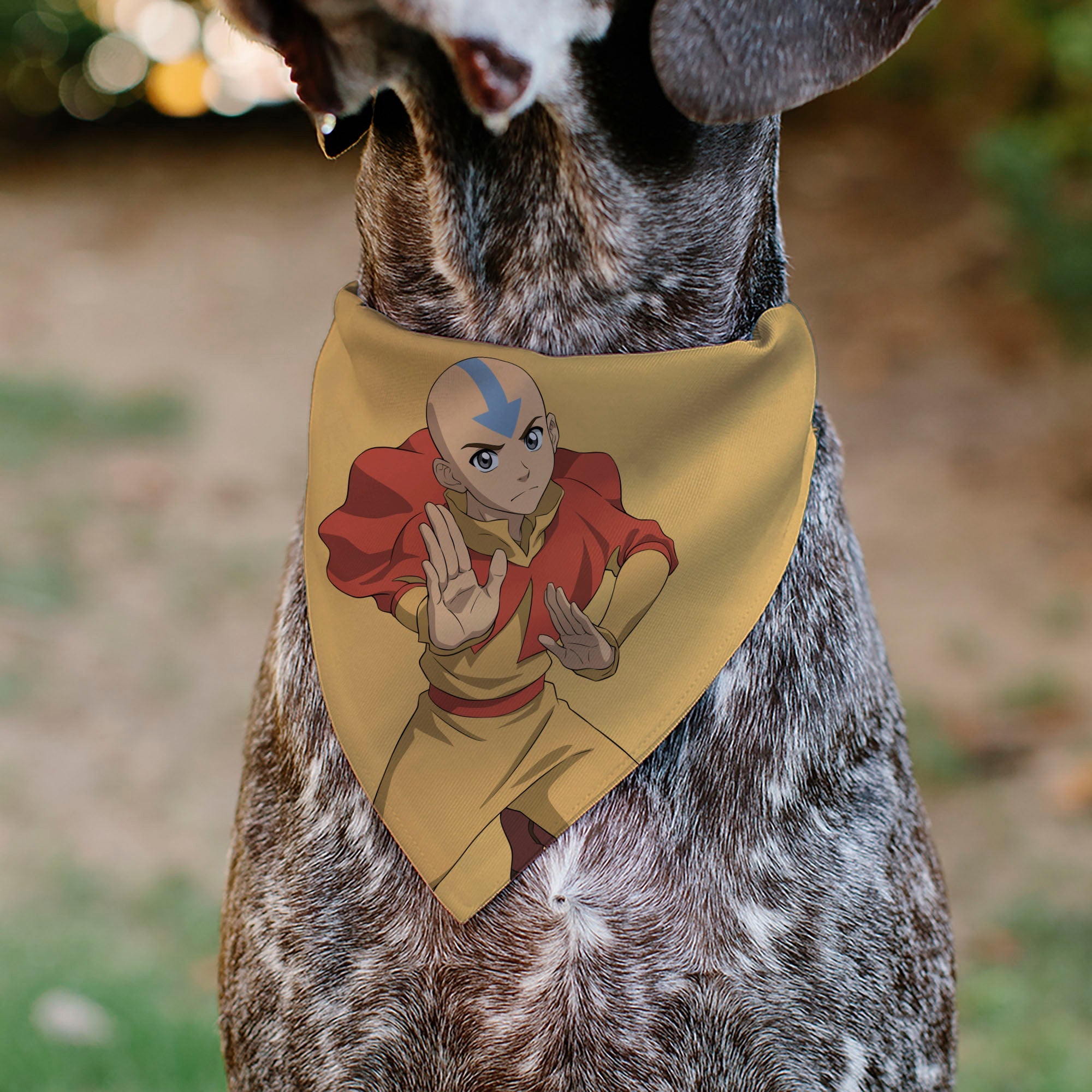 Pet Bandana - AVATAR THE LAST AIRBENDER Action Pose and Title Logo Yellow