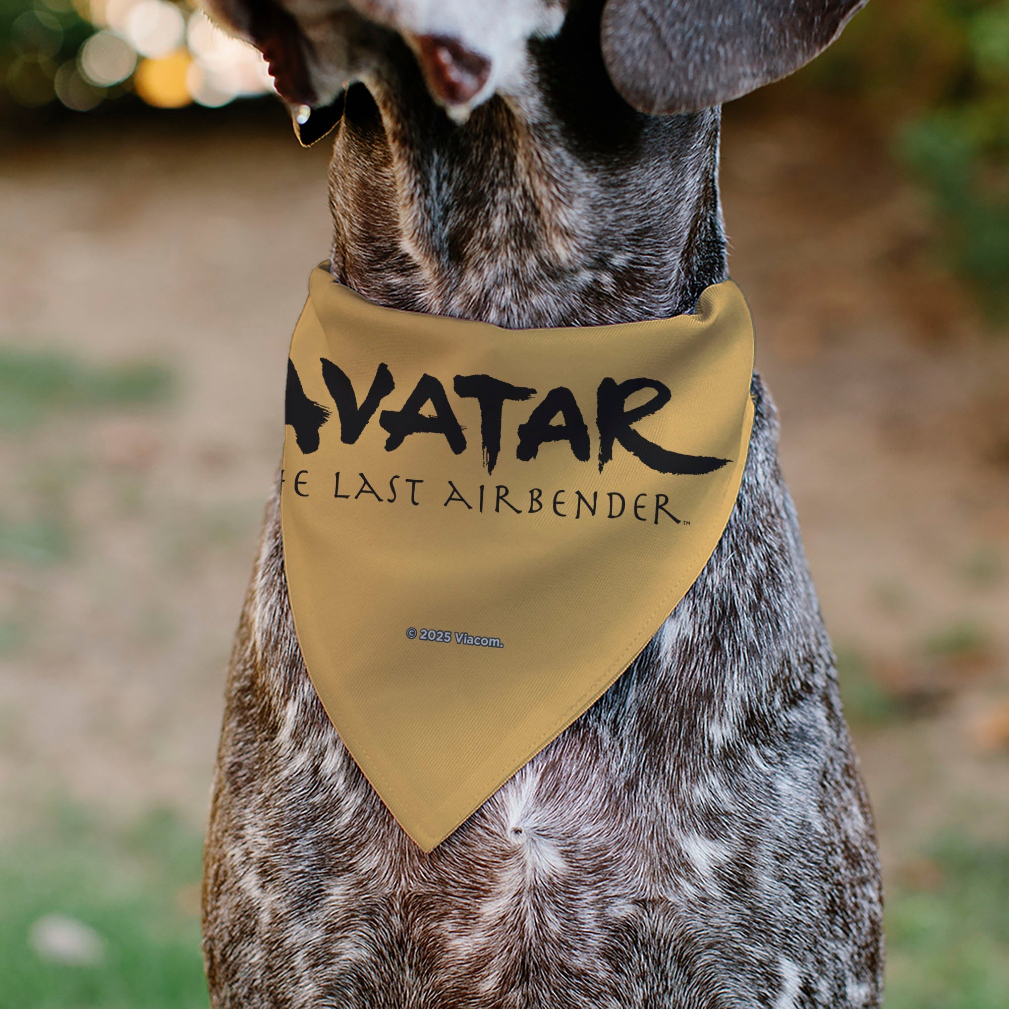 Pet Bandana - AVATAR THE LAST AIRBENDER Action Pose and Title Logo Yellow