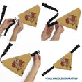 Load image into Gallery viewer, Pet Bandana - AVATAR THE LAST AIRBENDER Action Pose and Title Logo Yellow
