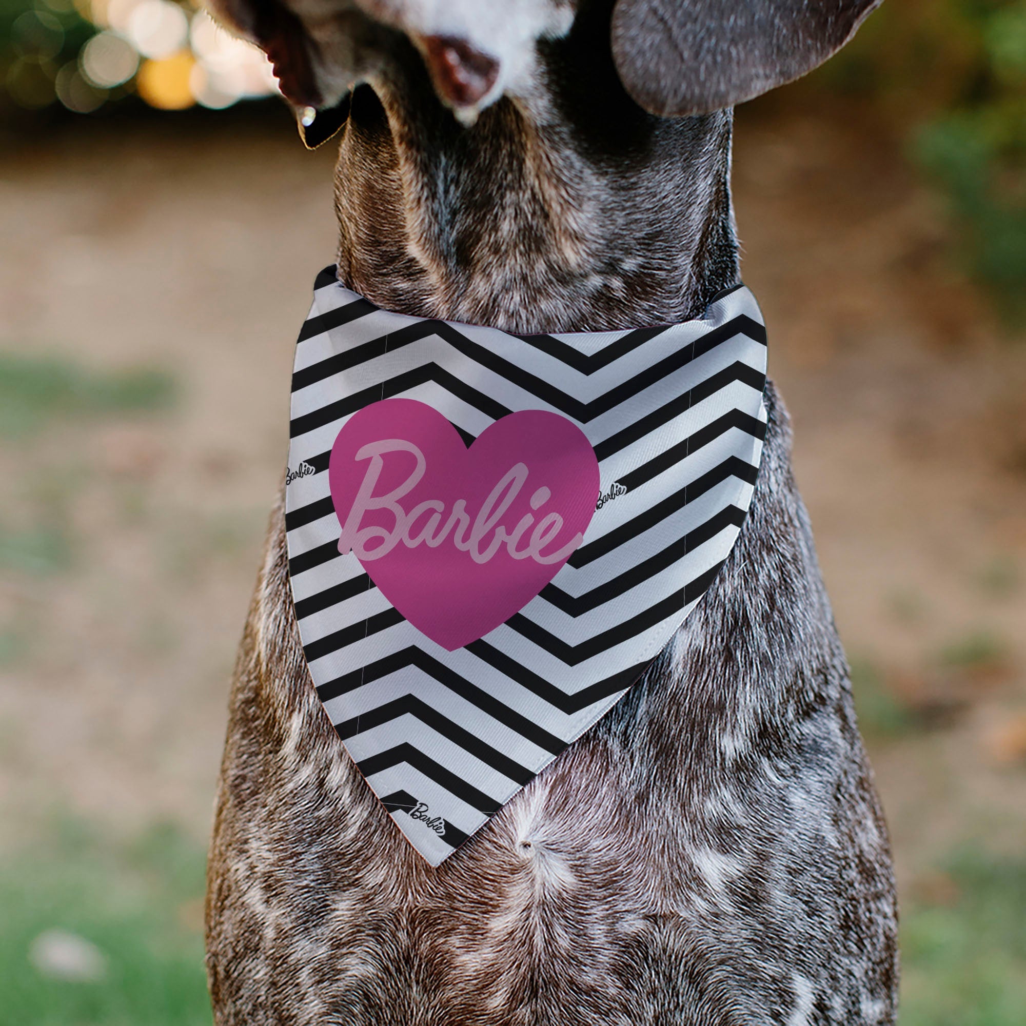 Pet Bandana - BARBIE Script Heart Chevron White/Black/Pinks