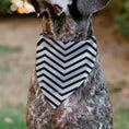 Load image into Gallery viewer, Pet Bandana - BARBIE Script Heart Chevron White/Black/Pinks
