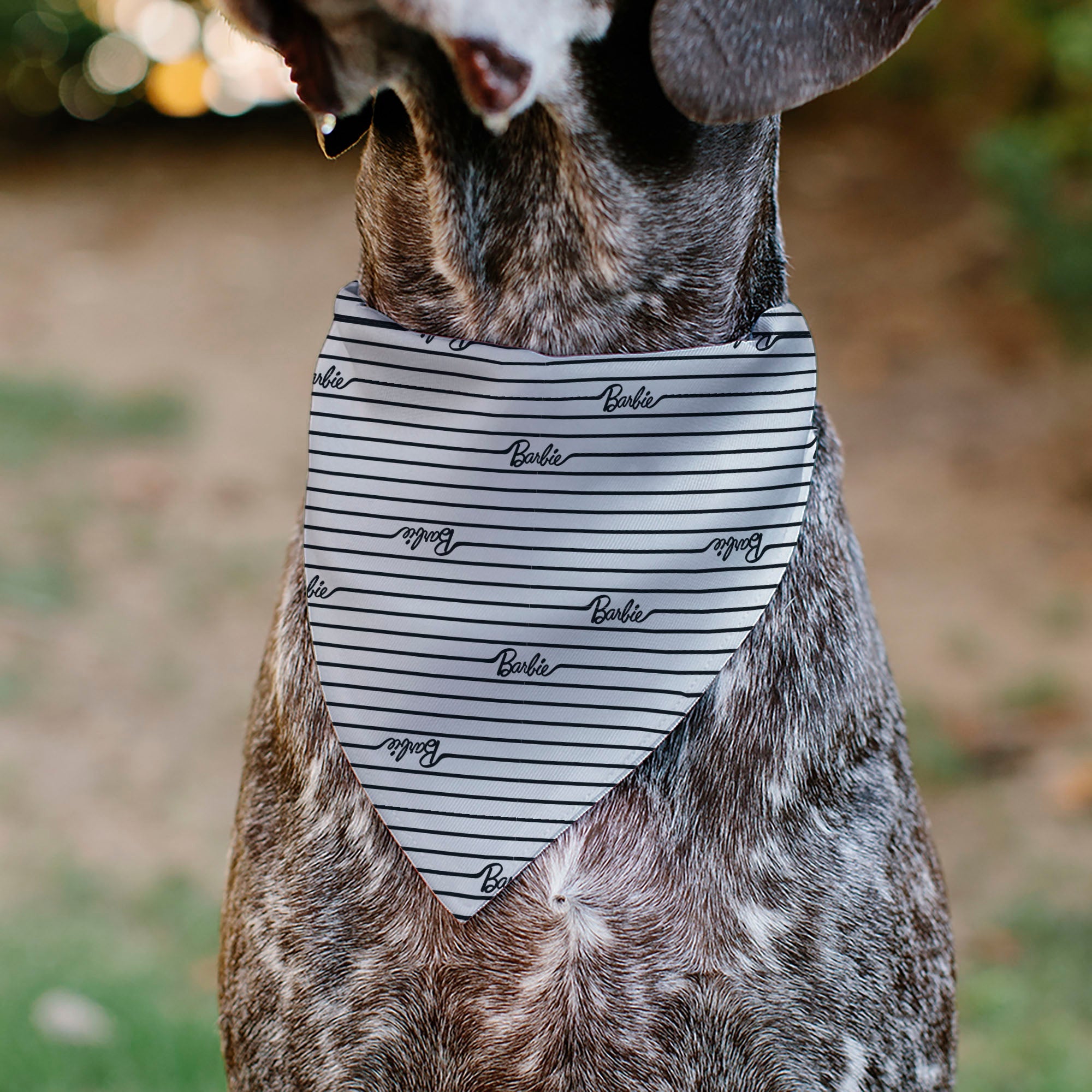 Pet Bandana - BARBIE Script Stripe White/Black